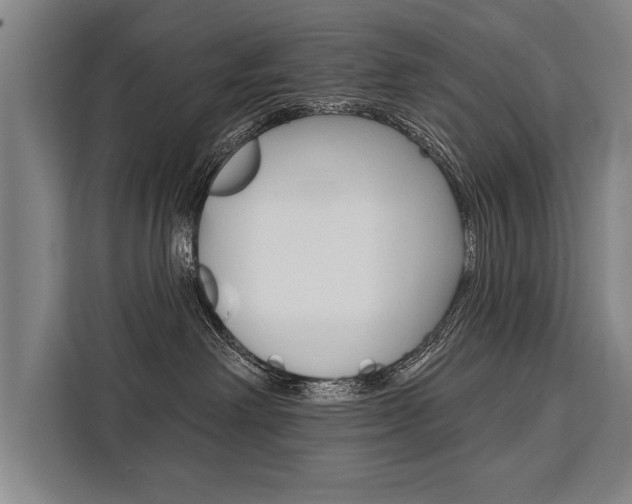 X0000111440238200907131027