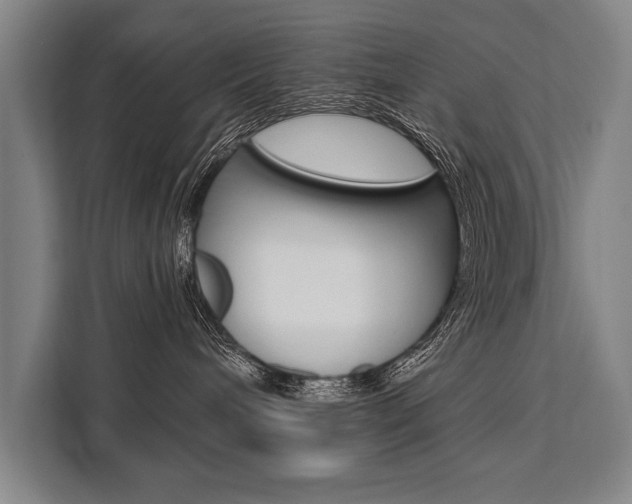 X0000111440240200907131027