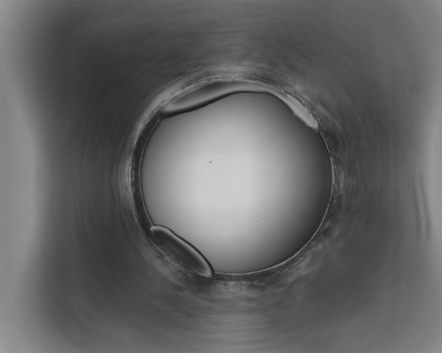 X0000111440244200907131026