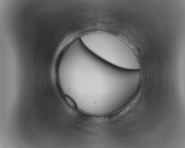 X0000111440245200907131026