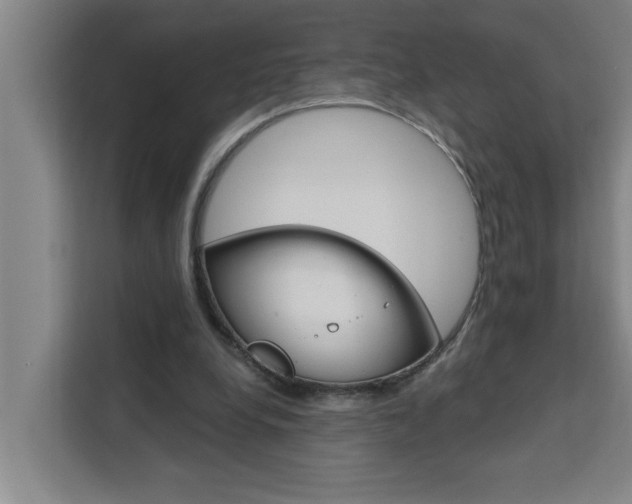 X0000111440248200907131026