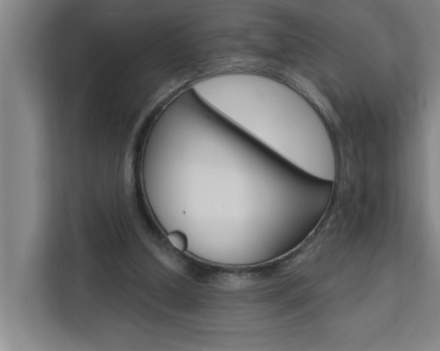 X0000111440250200907131026