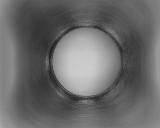 X0000111440251200907131026
