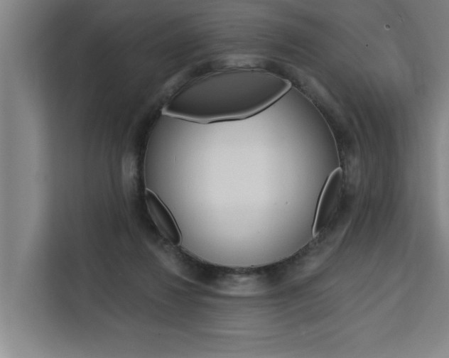 X0000111440260200907131026