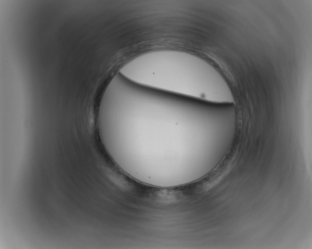 X0000111440261200907131026