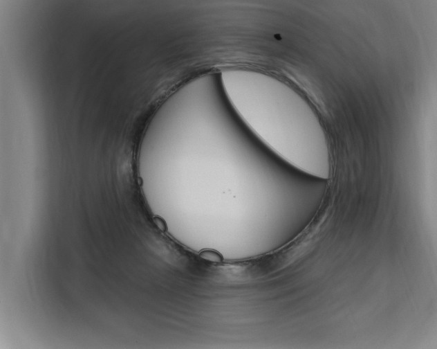 X0000111440265200907131026