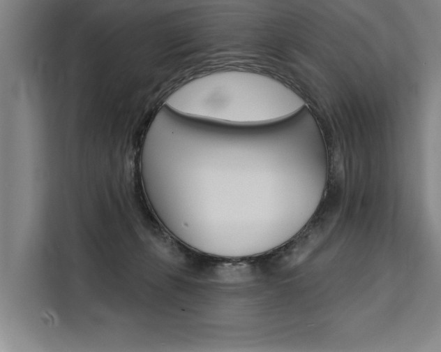X0000111440271200907131027