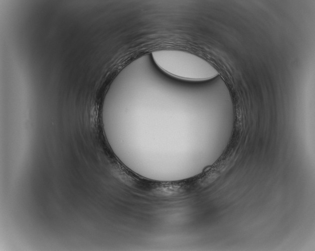 X0000111440278200907131027