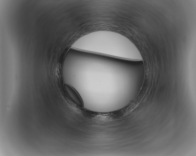 X0000111440280200907131027