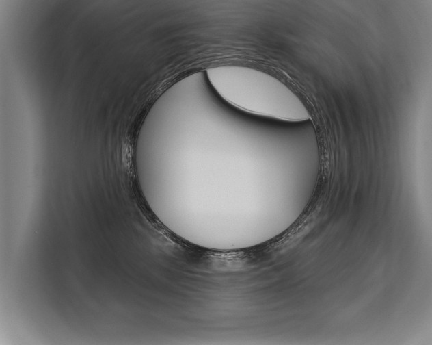 X0000111440281200907131027
