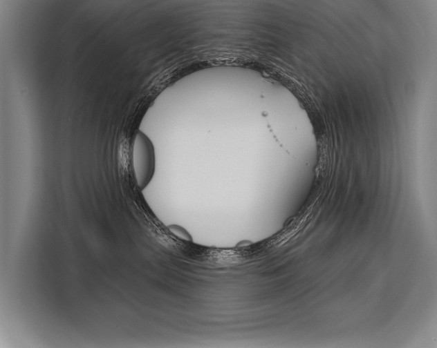 X0000111440287200907131027
