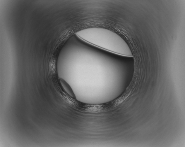 X0000111440288200907131027