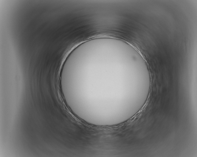 X0000111440289200907131026