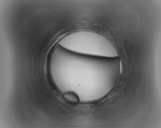 X0000111440291200907131026