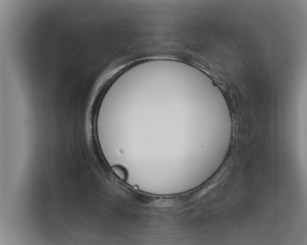 X0000111440294200907131026