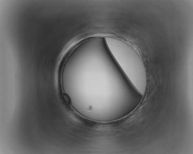 X0000111440296200907131026