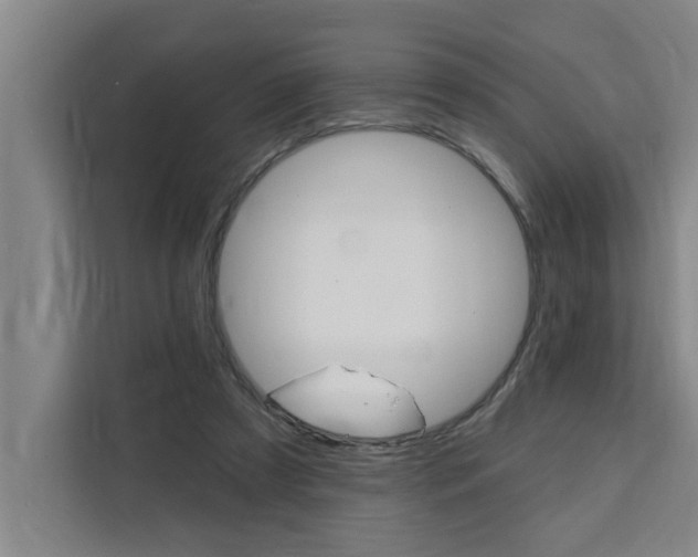X0000111440305200907131026