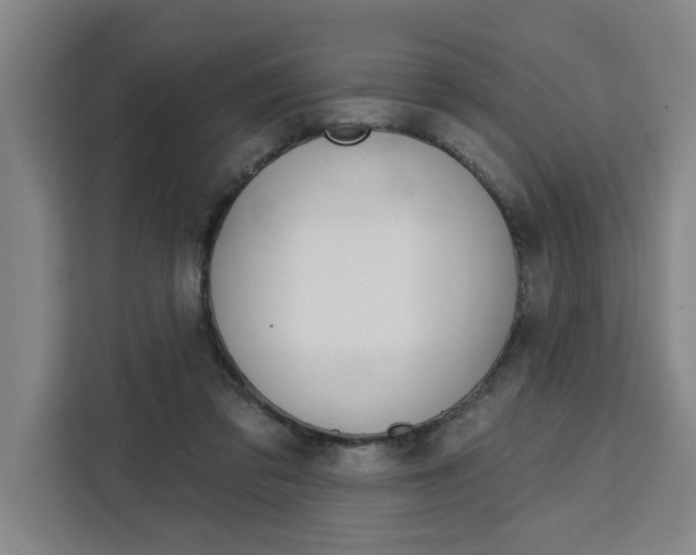 X0000111440309200907131026