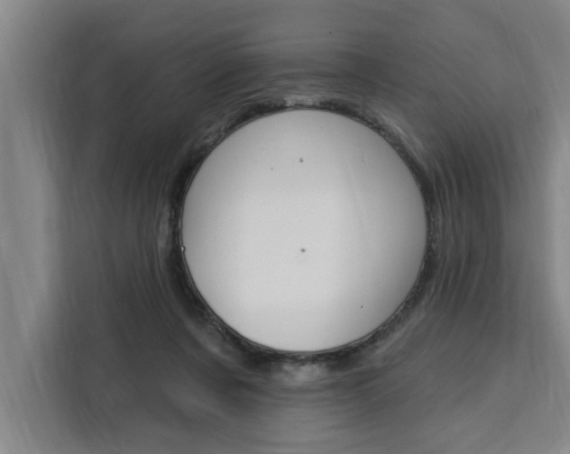 X0000111440311200907131026