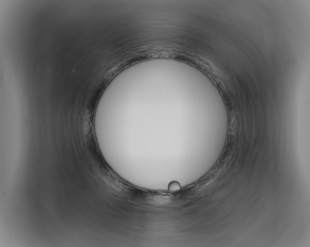 X0000111440318200907131026