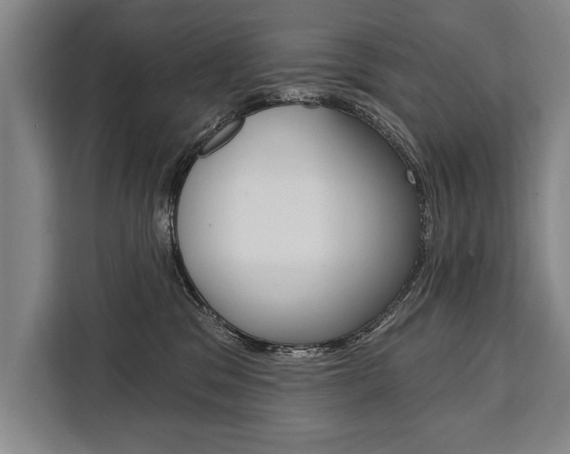 X0000111440329200907131026