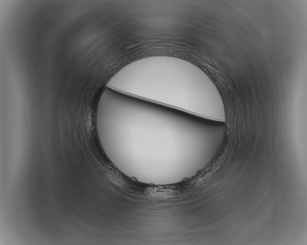 X0000111440331200907131026
