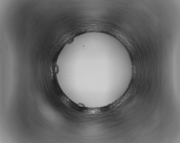 X0000111440333200907131026