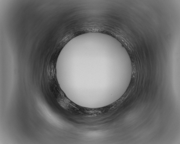 X0000111440334200907131026