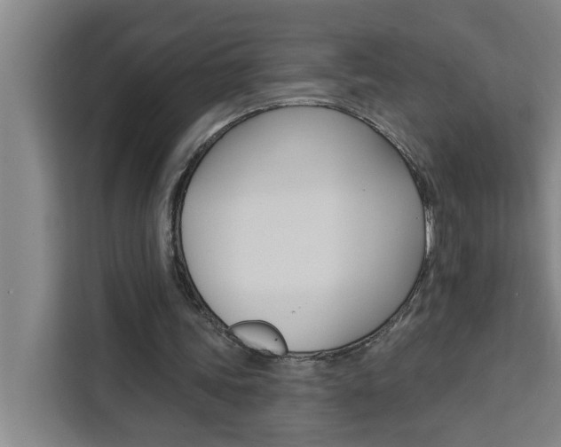 X0000111440339200907131025