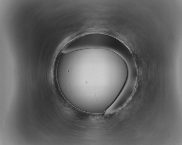 X0000111440340200907131025