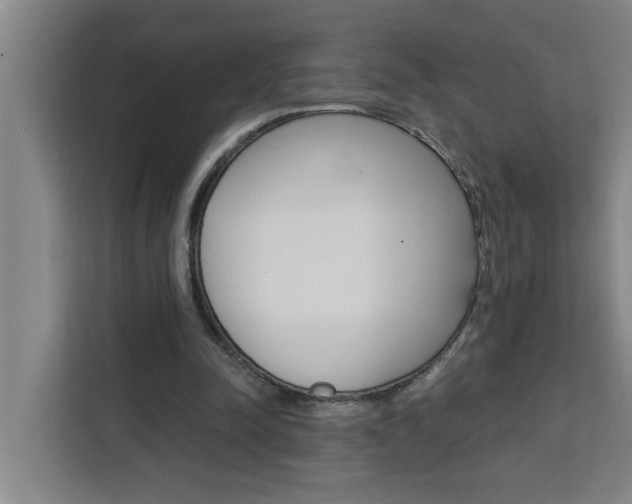 X0000111440342200907131025