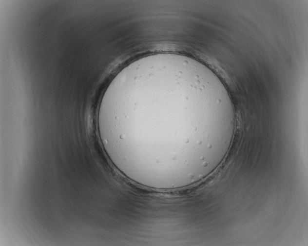X0000111440347200907131025