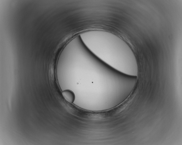 X0000111440349200907131025
