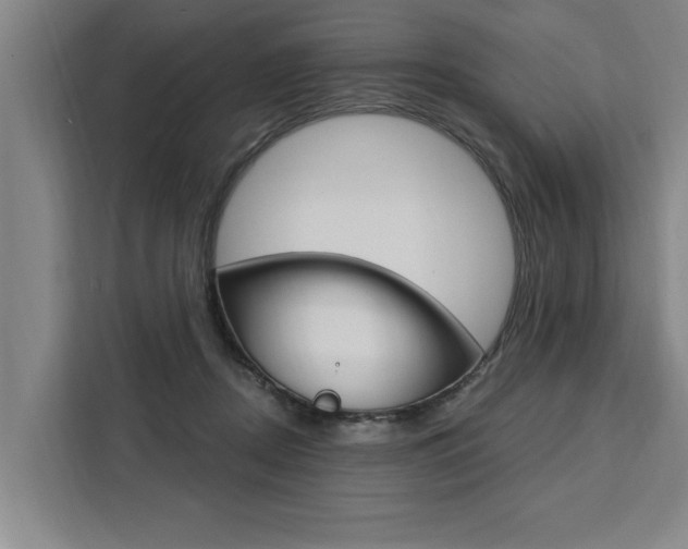 X0000111440362200907131025