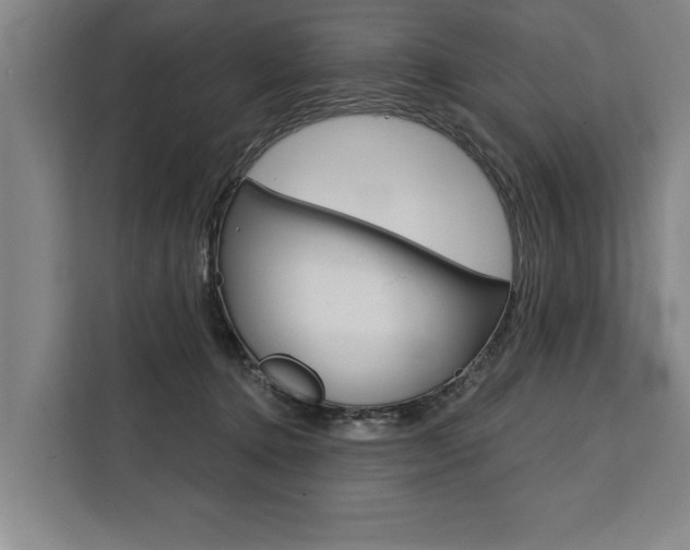 X0000111440368200907131025