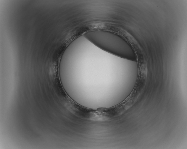 X0000111440372200907131025