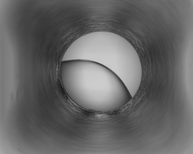 X0000111440376200907131025