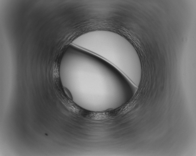 X0000111440384200907131026