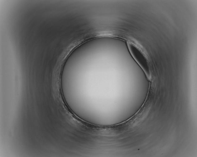 X0000111440385200907131025