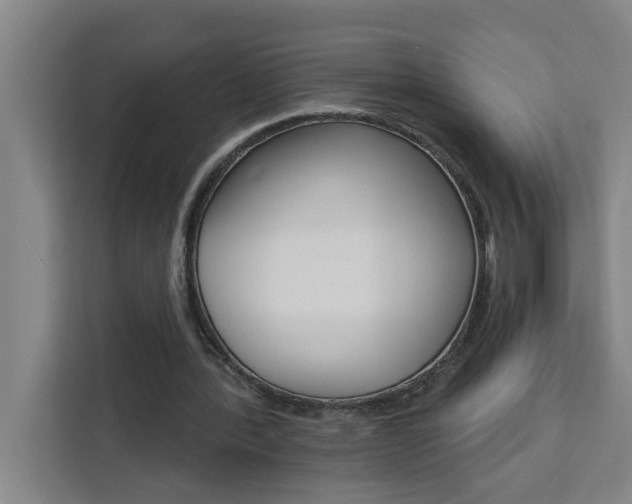 X0000111440388200907131025