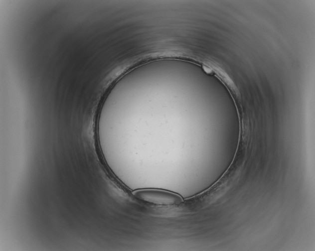 X0000111440389200907131025