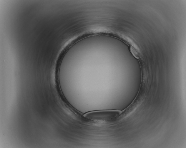 X0000111440391200907131025