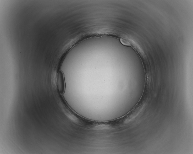 X0000111440397200907131025