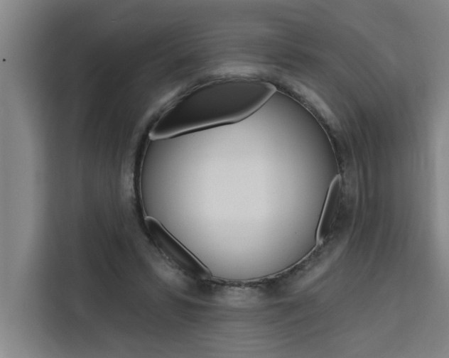 X0000111440399200907131025