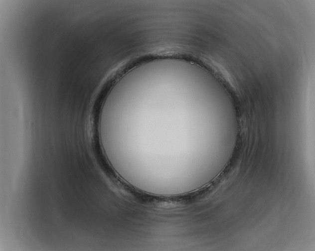 X0000111440400200907131025
