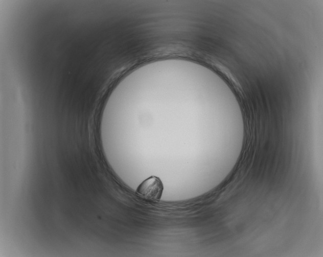 X0000111440403200907131025