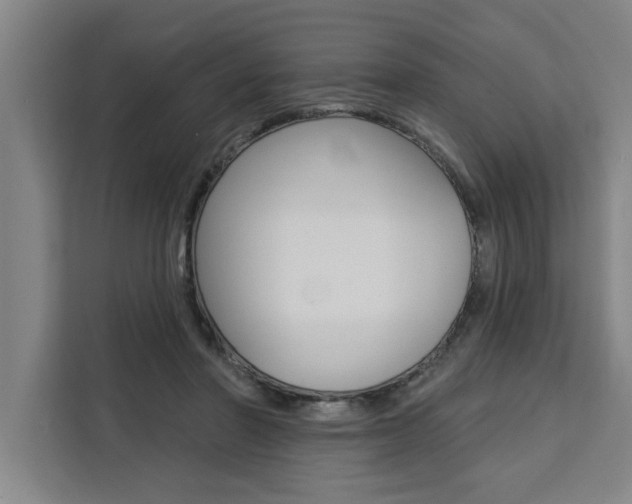 X0000111440406200907131025
