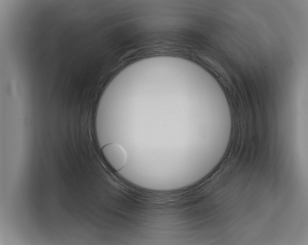 X0000111440409200907131025