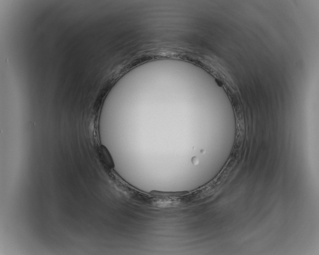 X0000111440415200907131025