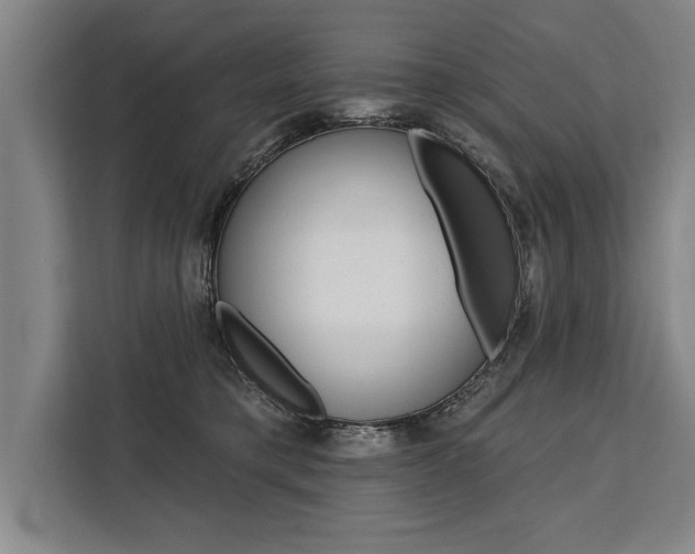 X0000111440421200907131024